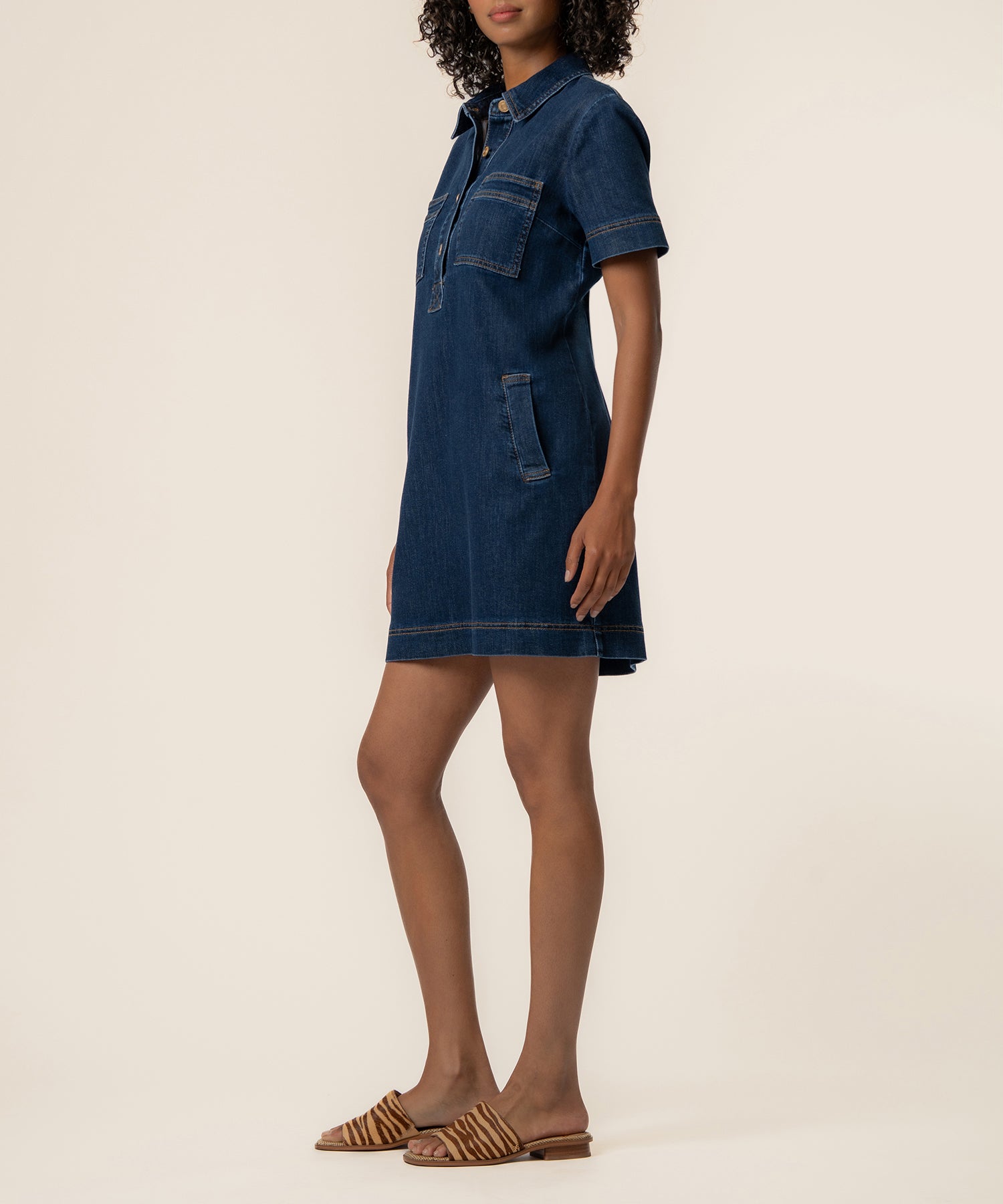 Tatiana Denim Dress in Plan Wash
